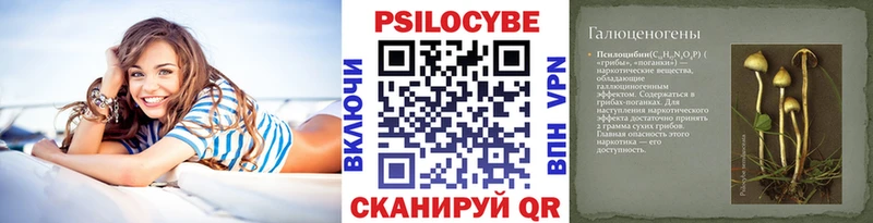купить   Чистополь  Псилоцибиновые грибы MAGIC MUSHROOMS 